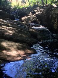 See all things to do. Schooley S Mountain Park Long Valley Nj Usa Hiking
