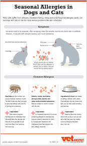 An In Depth Look At Seasonal Allergies In Dogs Cats Vetdepot Com