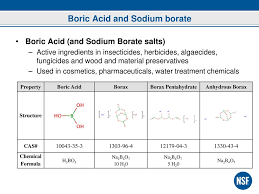 Boron is probably the most effective food fungicide available. Use Of Borates In Swimming Pools Consideration Of Health Effects Ppt Download