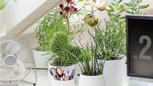 Blog der landschaftsarchitektin renate waas mit hilfreichen tips zu ein schweizer garten. Grunes Zuhause Schweizer Garten