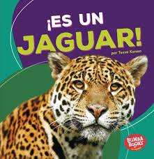 Just some of the amazing animals that live in the rainforest. Es Un Jaguar It S A Jaguar Bumba Books R En Espanol Animales De La Selva Tropical Spanish Edition Kenan Tessa 9781512454109 Amazon Com Books