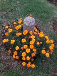 This domain is for sale. I1rvxhsxcvtc5m