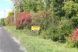 View 68 homes for sale in east syracuse, ny at a median listing price of $149,900. 6551 E Taft Rd East Syracuse Ny 13057 Loopnet Com