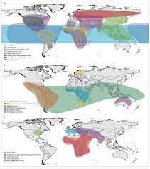 Vaccines Free Full Text A Review Aedes Borne Arboviral Infections Controls And Wolbachia Based Strategies