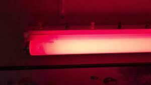 We did not find results for: Sylvania Red 20watt Fluorescent Light Bulb Youtube