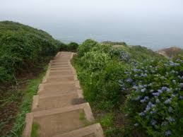 We highly recommend taking a sunset hike for the ultimate experience, but even on a foggy day. Bay Area Hiker Batteries To Bluffs Trail