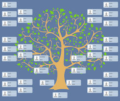 You might want to check with multiple sources to make sure your information is choose paper and a drawing utensil. Family Tree Solution Conceptdraw Com