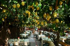 A Sky Of Yellow Lemons Da Paolino Restaurant Capri Amazing Gardens Isle Of Capri Capri