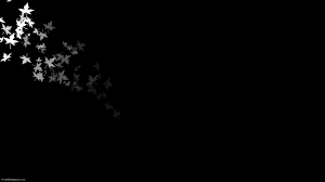 Wallpaper flare collects most beautiful hd wallpapers for pc, mobile and tablet desktop, including 720p, 1080p, 2k, 4k, 5k, 8k resolutions, all wallpapers are free download. Black And White Flowers Wallpapers Hd Pixelstalk Net