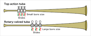 The Structure Of The Tuba Is There No Relationship Between