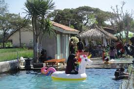 Kolam Renang Pesona Alam Tirta Berenang Di Tengah Sawah Klaten Halaman All Kompas Com