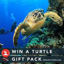 Help Save The Turtles With Hart Mind Soul And The Hms Nation Turtle Gifts Turtle Save The Sea Turtles