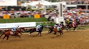 2019 Preakness Stakes Wikipedia