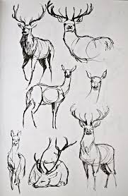 As The Deer Pants For The Water Animal Drawings Drawings Art Tutorials