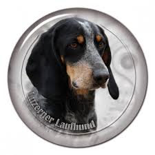 Image result for lucernský honič