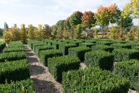 Pin On Dordogne Chateaux And Gardens