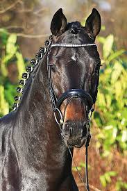 We did not find results for: Florenz Hof Sosath