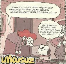 Ay Ay Ay Kim Geelmis Kim Geelmis Sen De Mi Geldin Misafirlige Sen De Mi Geldin Valla Ben De Geldim Diye Bili Mizah Karikatur Karikatur Kitabi
