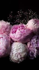 Check spelling or type a new query. 50 Beautiful Flower Wallpapers For Iphone Free Download