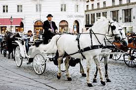 No need to register, buy now! The Viennese Fiaker Carriages An Icon Of Austria S Capital