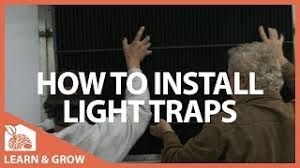 Patrick's day—but they're way less work. How To Install Light Traps Learn Grow Youtube