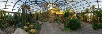 However you can buy mixed cactus seed cheaply, and it's fun to see which cover the pot with a clear plastic bag to preserve soil moisture, and leave the in a greenhouse or on a warm windowsill. Botanical Garden Berlin Cactus Greenhouse 360 Panorama 360cities