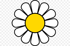 Which is white flower has a transparent background? Black And White Flower