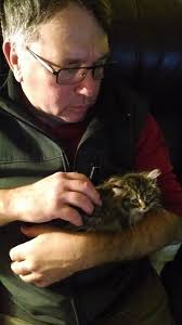 Lost cat near Grand, please PM