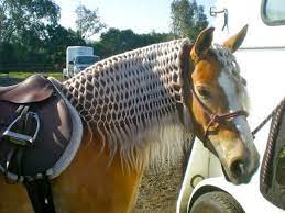 15 Horse Hair Braiding Ideas Inspiration Steelbuildings 15 Horse Hair Braiding Ideas Inspiration Central St In 2021 Horse Mane Braids Horse Hair Braiding Horses