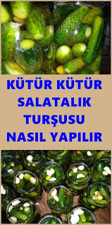 Kutur Kutur Sirkeli Salatalik Tursusu Yapimi Goruntuler Ile Yemek Tarifleri Salatalik Tursu Kurma
