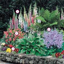 Pin On Yard Landscape Design