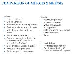 Reduction division mitosis or meiosis. Meiosis And Sexual Life Cycles Ppt Download