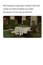 Zodiac Memes Virgo Memes Zodiac Signs Funny Virgo Quotes