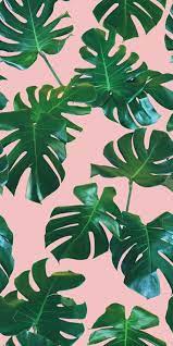 Pin By Marina Tretyak On Phone Backgrounds Leaves Wallpaper Iphone Summer Wallpaper Phone Wallpaper Backgrounds