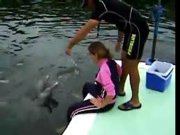 Dolphin Has Sex With Woman - video Dailymotion