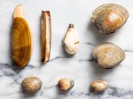 a guide to clam types and what to do with them serious eats