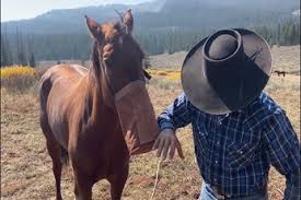 Image result for Beau Brummel Brown 1931 Oldsmobile