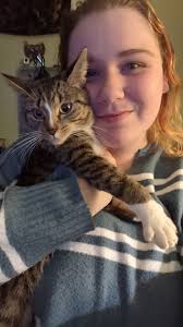 Looking for a kitten in southern Maine?