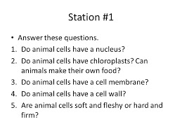 One stop solution for all your biology questions! Station 1 Animal Cells Are Found In All Members Of The Animal Kingdom Including Humans All Animal Cells Are Eukaryotic Meaning That They Have A Nucleus Ppt Download