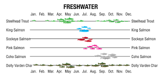 Best Time To Fish Alaska