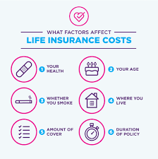 Be ready to handle what comes your way. Compare Cheap Life Insurance Quotes Moneysupermarket What Is The Life Insurance In 2020 Life Insurance Quotes Life Insurance Cost Insurance Quotes