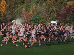 Skippers win girls' freshman title, Abbie Tighe takes first