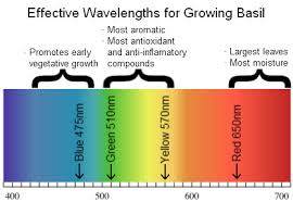 11 simple guidelines to know before buying grow lights