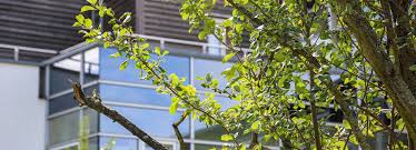 Jedes jahr prüft der mdk alle rund 15.000 pflegeheime in deutschland. Anfahrt So Finden Sie Uns