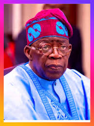 Birthday Wishes to Napo