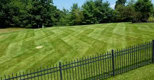 Enter your zip code to be connected to local grass cutting companies today. Grass Cutting Lawn Maintenance Treesdale Landscape Company