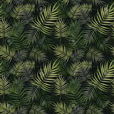 Green Palm Leaves Pattern On Black Background Royalty Free Cliparts Vectors And Stock Illustration Image 46671503 Tropical palm tree background vector.