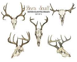 Deer Skull Clipart Watercolor Animal Clip Art Tribal Etsy In 2021 Deer Skulls Deer Drawing Deer Skull Tattoos