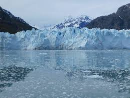 Things to do in glacier bay national park. How To Visit Glacier Bay National Park In Alaska For Independent Travelers Ordinary Adventures