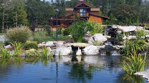 Recent landscaping reviews in greensboro. Norris Lawn Landscaping Inc Burlington Nc Lawn Care